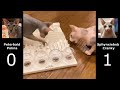 Peterbald Cat vs Sphynxiebob Cat : Let's Fight!! の動画、YouTube動画。
