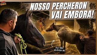 NOSSO GIGANTE FOI PARA A DOMA! | A CASA DOS BICHOS