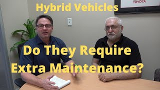 do hybrids require extra maintenance? ask the expert!