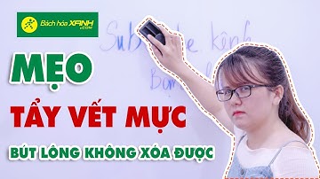 Cách tẩy vết mực bút lông không xoá được - Bách hoá XANH