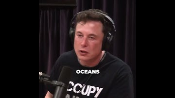 Joe Rogan And Elon Musk On The impact of social media on happiness and self perception.