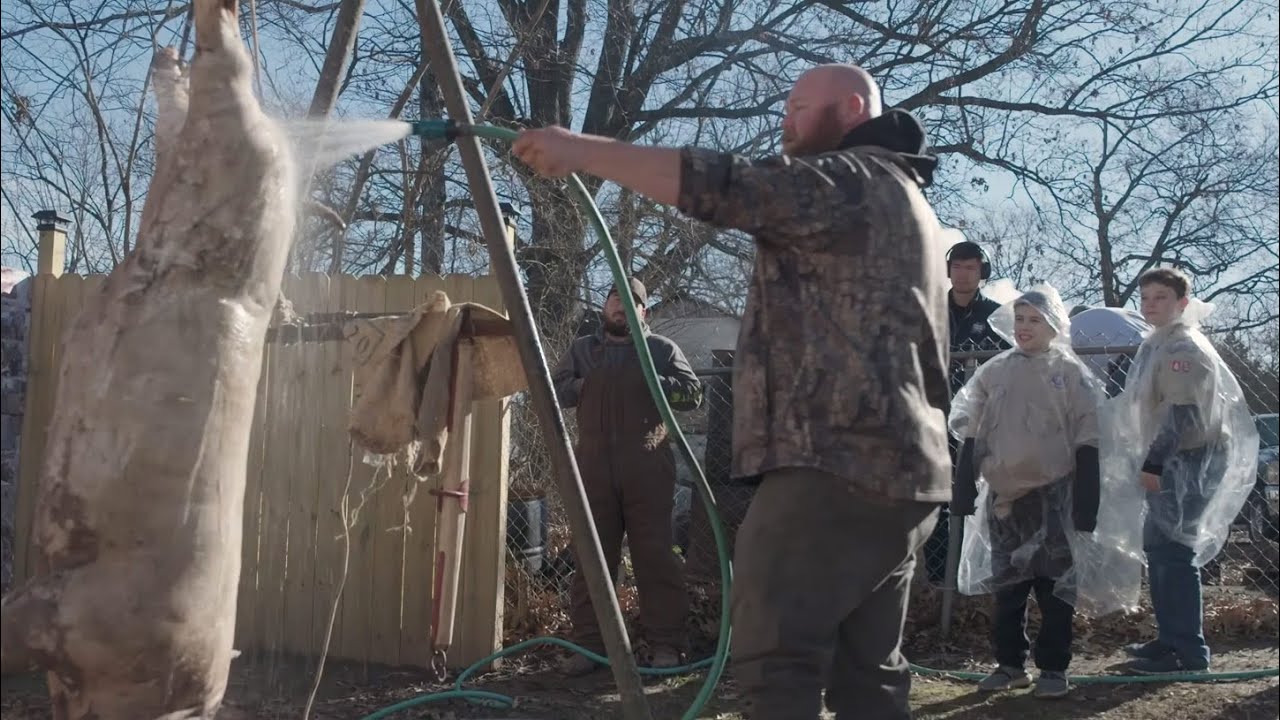 The Annual Hog Butchering in Pocahontas, Arkansas