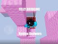 Trying to Telly Bridge in Roblox Bedwars..