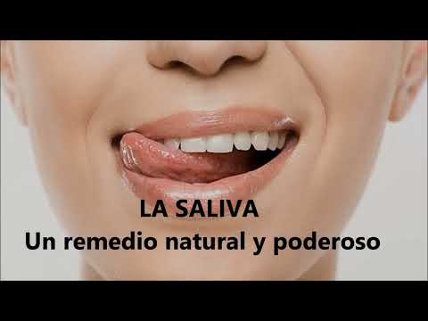 Sabias que? La saliva es 6 veces más potente que la morfina, desinflama y alivia de manera natural