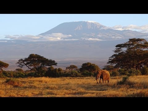 Video: Taman Negara Amboseli. Kenya