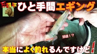 ひと手間エギング本当によく釣れるんですけど(122話目)