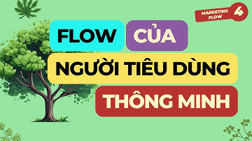 Dòng chuyển đổi của người tiêu dùng thông minh * Hành trình người mua * Marketing Flow