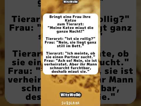 Meine Katze miaut die ganze Nacht! 😽🤣