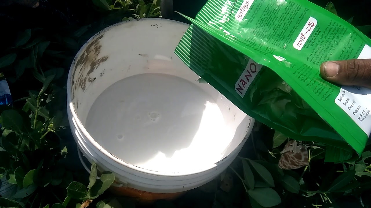 NANO-F mixing process in ground nut crop