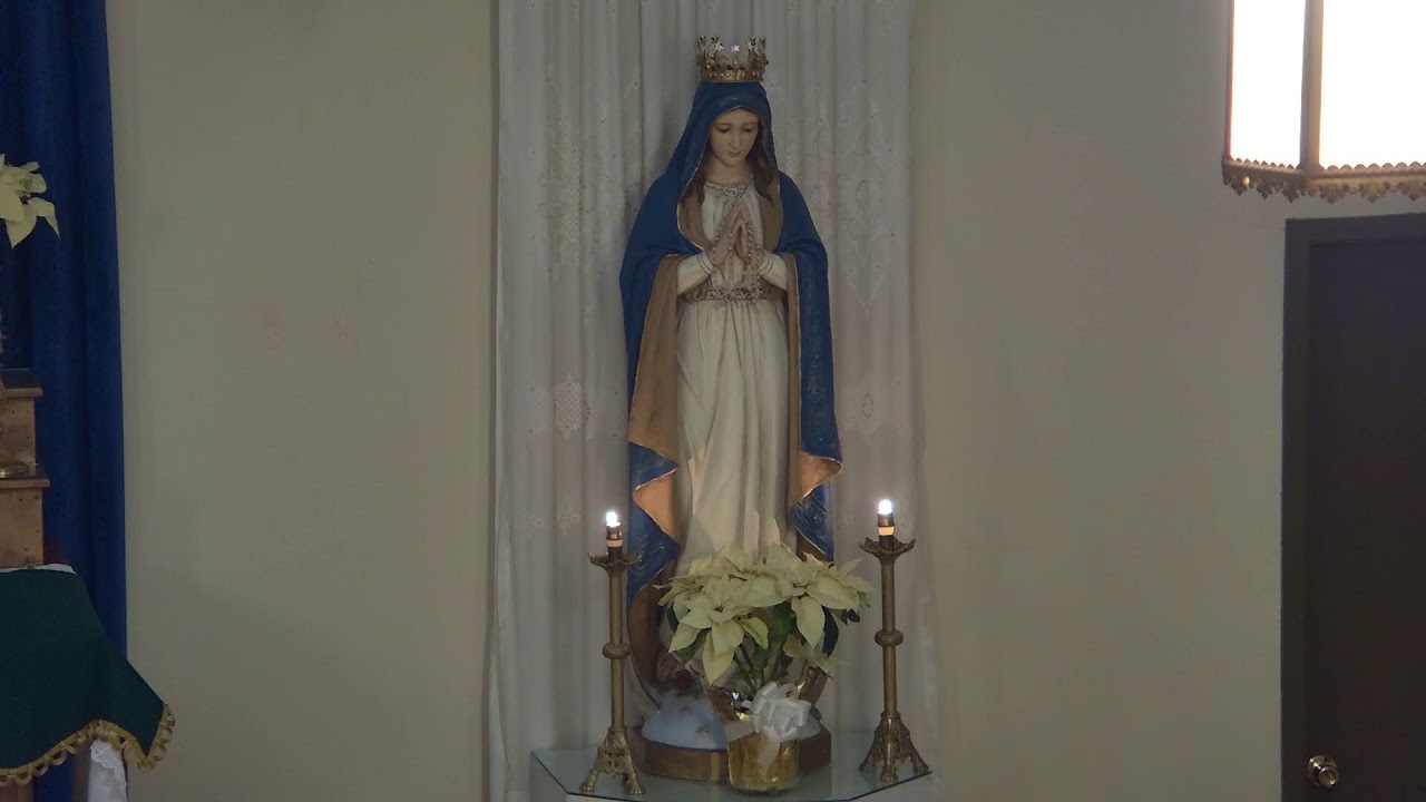 Rosary, February 8, 2025