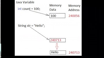 Primitive type and reference variable