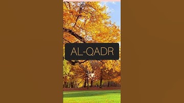 SURAH ALQADR I تلاوة من سورة القدر بصوت خاشعة #murattalquran