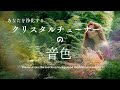 「浄化の音色」水音と4096Hzクリスタルチューナーの音 :１時間・修正版その２ #クリスタルチューナー