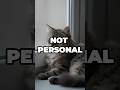 It’s Not Personal