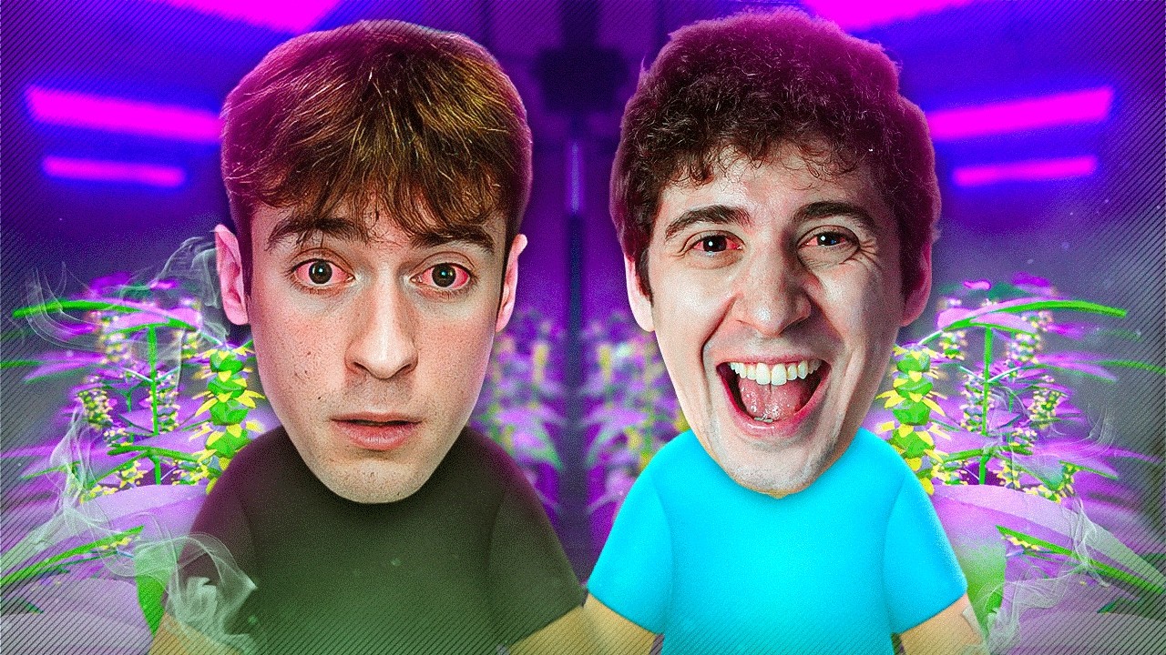 LOLLO e FAVIJ VENDONO STUPEFACENTI su SCHEDULE I!!