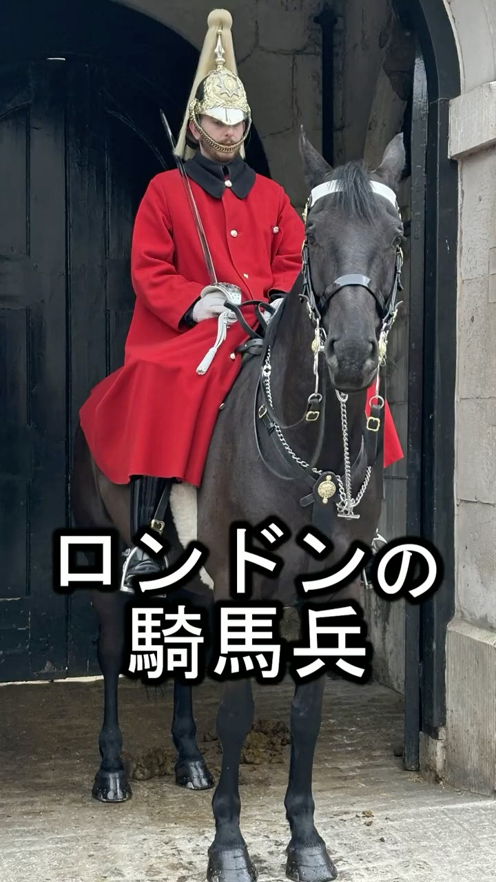 英国王室の近衛騎兵、ホース・ガーズの冬服は赤のマント。冬のロンドン