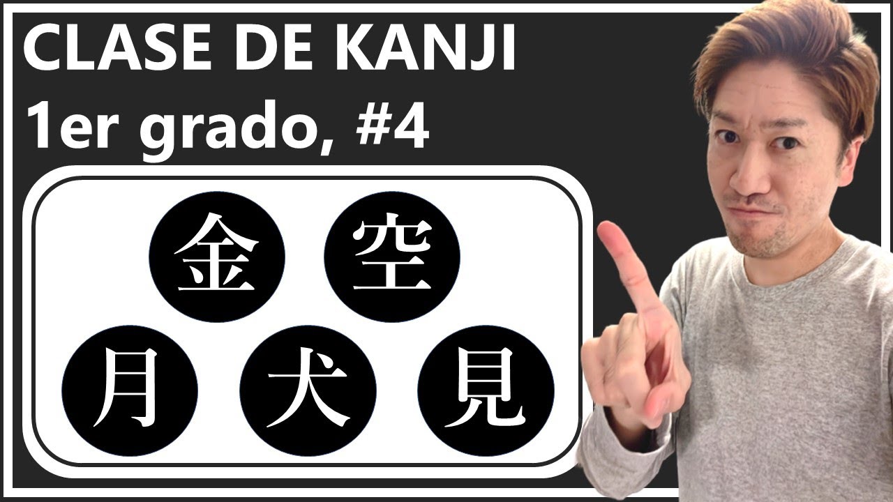 Clase de Kanji: 金、空、月、犬、見 (día 119)