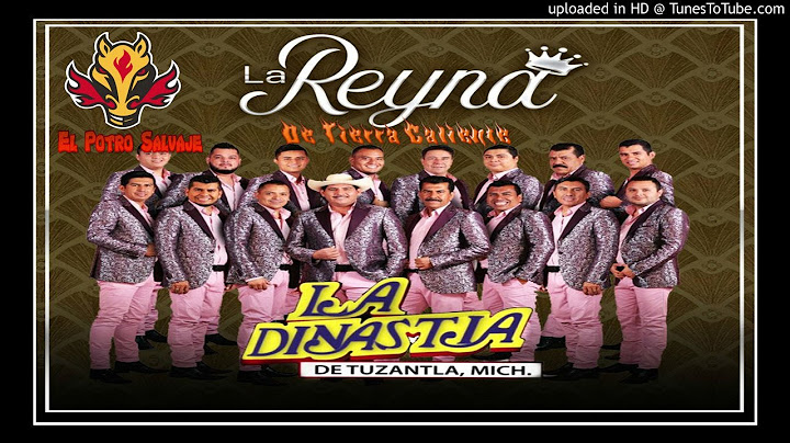 La Reyna de Tierra Caliente [Sencillo] - La Dinastia de Tuzantla, Mich. [2019]