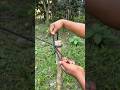 Amazing Rope Knot Trick for Strong Pole Tie | Easy Survival Knot Tutorial #RopeKnot #KnotTutorial