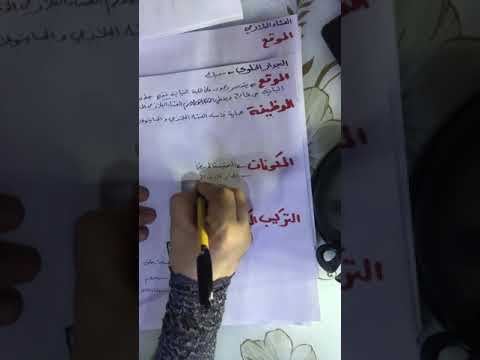 الجدار الخلوي