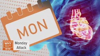 Why is there a higher risk of a heart attack on Mondays? | Why Guy