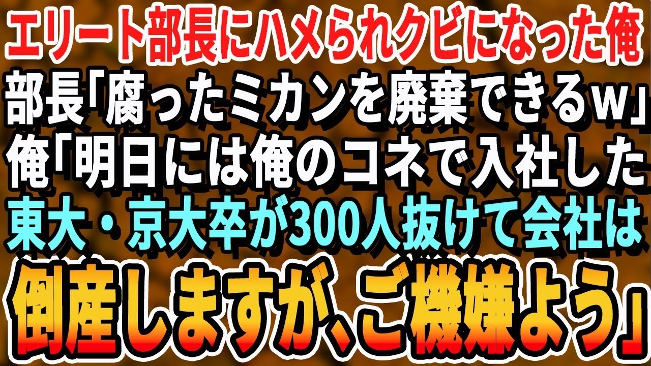 【感動する話】40年働いた俺の退職時に2代目社長「契約通り、退職金は0円でｗ」直後、俺も契約通りにシステムを全削除した結果【スカッと・スカッとする話・朗読・いい話・泣ける話・有料級・涙腺崩壊】