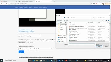EZcodon Codon Usage Analysis | Carrie Mccolley