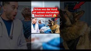 Schau was der Hund mit seinem sterbenden Besitzer macht! 😭 #hund #tierliebe #liebe #weinen #traurig