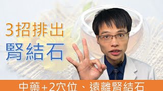 【腎結石可以看中醫】/ 中醫穴位按壓與中藥幫助你降低結石再發生率減輕症狀讓你跟腎結石說掰掰