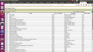 Birt Report-Single Page Report