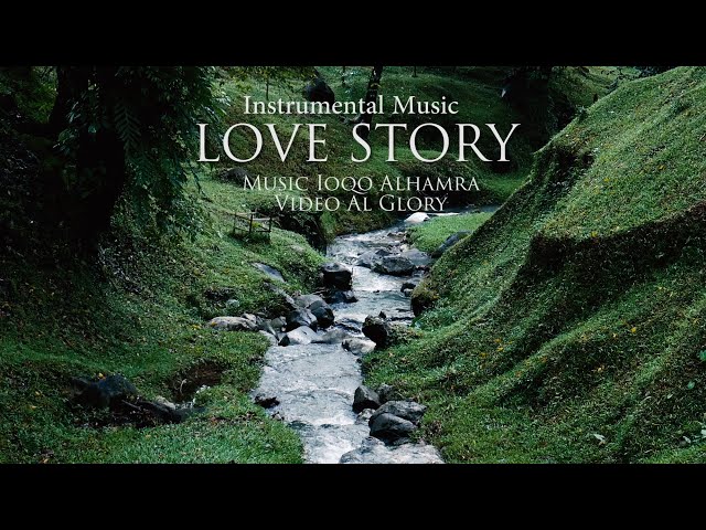 LOVE STORY - ANDY WILLIAMS INSTRUMENTAL MUSIC COVER class=