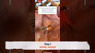 Capturing photos: Easy as 1,2,3