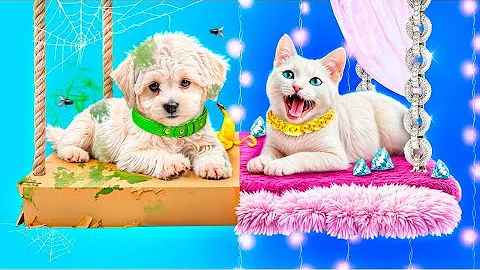 We Build a Secret Room for Pets! Rich Cat vs Poor Dog!