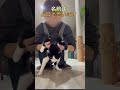 【おんぶ猫ムロ】あけましておめでとうございます今年もよろしくね #おんぶ猫 #猫のいる暮らし #ハチワレ #かわいい