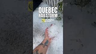See the damaging hail that hit Quebec on August 13 | #hailstorm
A powerful hailstorm hit north of Montreal, Quebec, on August 13, leading to these incredible sights.
#theweathernetwork #quebec #storm
READ MORE:
https://www.theweathernetwork.com/en/news
SEE OUR LATEST VIDEOS:
https://www.theweathernetwork.com/en/video
Never miss a weather alert with The Weather Network app π± https://theweathernetwork.smart.link/lgax4djt9
or check your forecast on our website π»
http://www.theweathernetwork.com
Captured a weather video or photo that you want to share? Join The Weather Network community and #ShareYourWeather with us on social media: https://lnk.bio/weathernetwork
SUBSCRIBE to our channel: https://www.youtube.com/weathernetwork?sub_confirmation=1
FOLLOW us here:
Facebook: https://www.facebook.com/theweathernetworkCAN
X: https://twitter.com/weathernetwork
Instagram: https://www.instagram.com/weathernetwork/
TikTok: https://www.tiktok.com/@weathernetwork
The Weather Network is committed to delivering weather updates and information to audiences in Canada and around the world 24 hours a day, 365 days a year. For over 25 years, The Weather Network has been an English-language weather news and information specialty channel that is owned by Pelmorex Media. See the damaging hail that hit Quebec on August 13 | #hailstorm