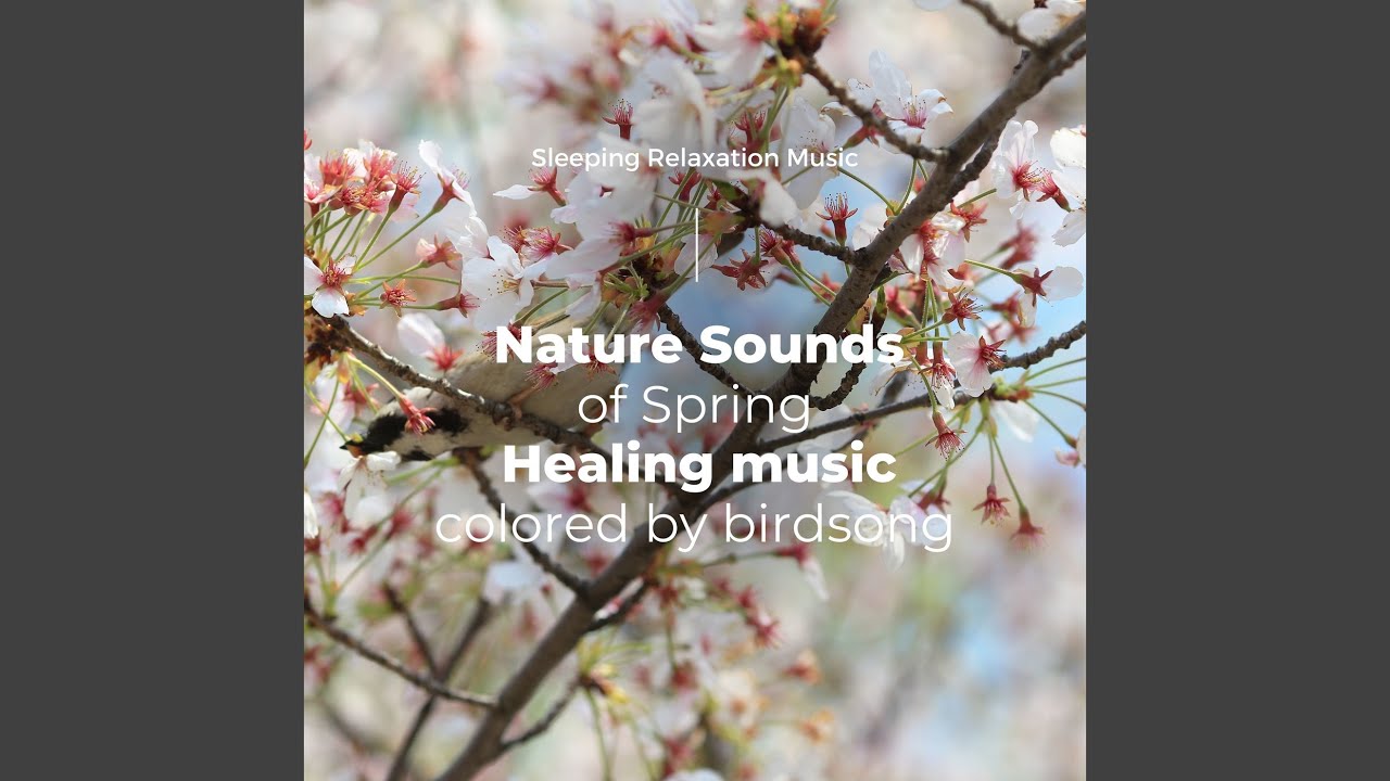 Sleeping mood -Nature Sounds of Spring- - YouTube