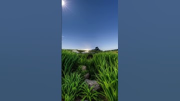 Crocodile robot #robotictoys #masmaltoys #robot #robotic #toys #roboticanimals #shorts