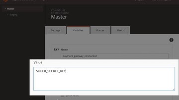 Environmental Variables on Magento Cloud