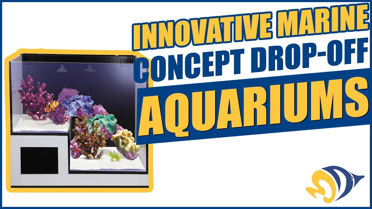 innovative marine concept drop
