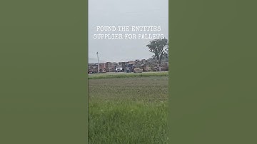 Entity Pallet Supplier #dbd #dbdshorts #deadbydaylight #twitch #gaming #dbdclips #dbdmemes
