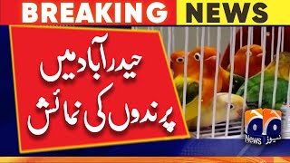 BSP First ever lovebird show in hyderabad