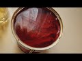 احسن طريقه لحفظ معجون الطماطه لمدة اشهر خارج الثلاجه صلصة طماطم افكار منزلية احسن طريقه لحفظ معجون الطماطه لمدة اشهر خارج الثلاجه صلصة طماطم افكار منزلية