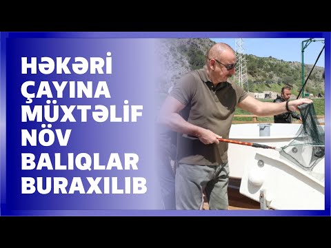 Video: İnari gölü: təbiət və balıqçılıq