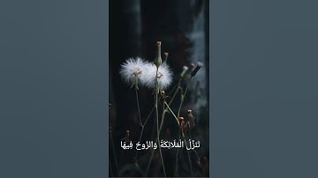 سورة القدر 🤍         #اكسبلور #الرحمن #سورة_القدر #quran #قران