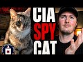 Operation Acoustic Kitty: The CIA’s Spy Cat Program