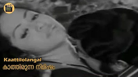 Kaattilolangal |Video Song | Kaathirunna Nimisham 1978 |MK Arjunan| P Jayachandran| Central Talkies