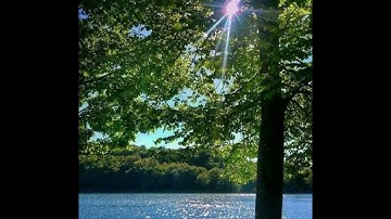قراءة خيالية للقارئ عبدالخالق آل عواض القحطاني