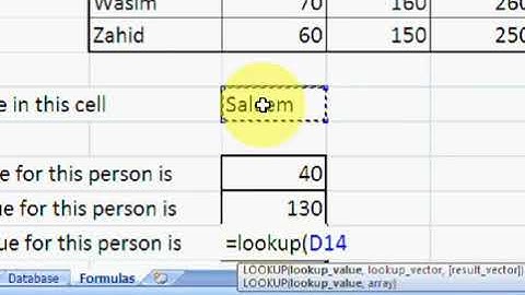 Excel Formulas Urdu Tutorials   Part 3   by Irfan Wazir Ali