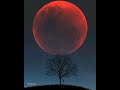 القمر الاحمر 