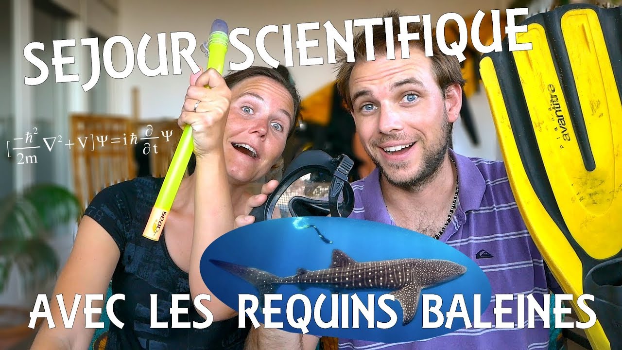 ⁣ON PART EN SÉJOUR SCIENTIFIQUE